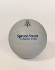 SSAC x Local Hoops Custom Mini Basketball